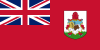 USA flag