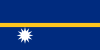 USA flag