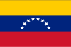 USA flag